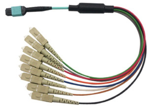 MPO (M) - 12 x SC Simplex - OM3 - With reversible MTX